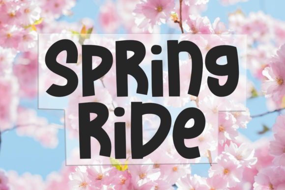 How Spring Ride Font Transformed My Small Business Branding