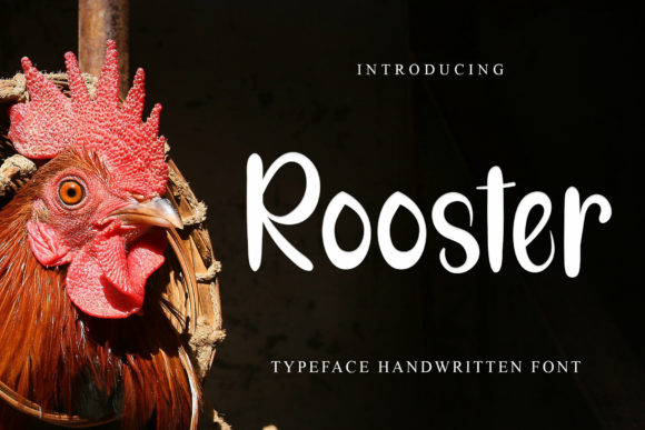 Rooster: A Bold Display Font for Modern Web Design