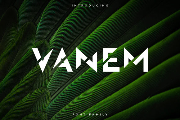 Vanem: A Modern Display Font for Bold Editorial Statements